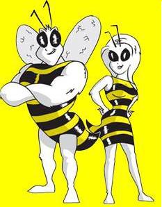 Bee Pair
